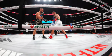 Did Netflix Live Streaming Of Tyson-Paulo Fight Go According To Plan?