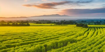 Ethiopia: Ethio Telecom Seeks Govt. Support For Network Expansion Amid Land Acquisition Challenges