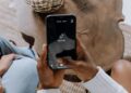 TikTok Defends Monetisation Strategy Amid Criticism From African Creators