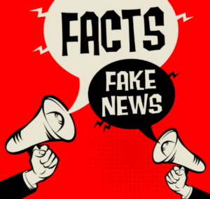 The Digital Space: Misinformation and Disinformation