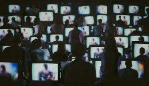 The Power of Preference: How Audiences Shape Content Acquisition