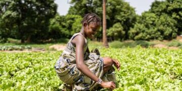 BMA Feature: Senegalese President Bassirou Faye Calls on Africa’s Youth to Drive Food Systems Transformation at AFSF 2025