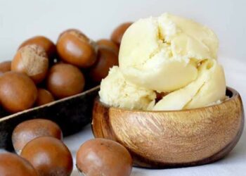 BMA Feature: Nigeria Targets Shea Industry Transformation With Export Ban — But Farmers Feel the Pinch