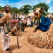 BMA Feature: Ouidah Welcomes Thousands as The Vodun Days Festival Opens in Benin