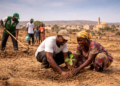 BMA Feature: Young Volunteers Launch ‘One House, One Tree’ Initiative to Tackle Climate Pressures in Northern Cameroon