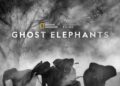 South Africa: “Ghost Elephants” Premieres On Nat Geo Wild And Disney+ Today