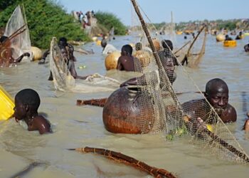 BMA Feature: Local Divers Launch Bold Volunteer Initiative to Rescue Lake Malawi from Plastic Crisis