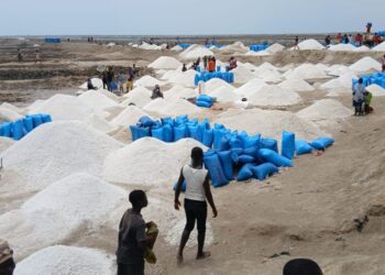 BMA Feature: Monopoly and Climate Change Threaten Livelihoods at Ghana’s Historic Songor Lagoon