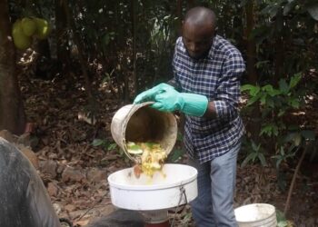 BMA Feature: Sierra Leone Entrepreneur Tackles Energy Crisis by Converting Food Waste into Clean Biogas