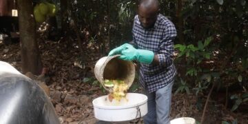 BMA Feature: Sierra Leone Entrepreneur Tackles Energy Crisis by Converting Food Waste into Clean Biogas