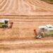 BMA Feature: South African Farmers Ramp Up Apple Exports Following China’s Zero-Tariff Policy Launch