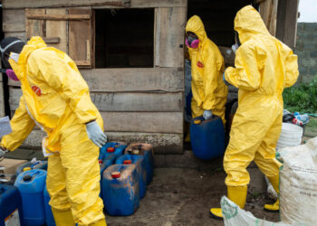 BMA Feature: Nigerian Authorities Dismantle Mega Methamphetamine Laboratory Hidden in Ogun State Forest