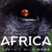 National Geographic Unveils Trailer And Premiere Date For Africa Earth’s Wild Home