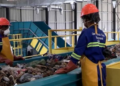 BMA Feature: Zimbabwe’s Geo Pomona Facility Showcases Waste-To-Energy Transformation To African Union Delegates