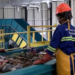 BMA Feature: Zimbabwe’s Geo Pomona Facility Showcases Waste-To-Energy Transformation To African Union Delegates