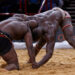 Canal+ Secures Exclusive Rights To Six Senegalese Wrestling Events Across Africa