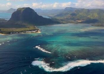 BMA Feature: Mauritius Battles Rising Sea Temperatures To Protect Fragile Coral Reefs