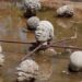BMA Feature: African Diaspora Reunites At Ghana’s Nkyinkyim Museum For Historic Ancestral Commemoration