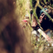 Rwandan Short Film ‘Remnants’ Will Debut On 15 October – Explores Memory, Loss And Generational Inheritance