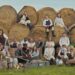 kykNET Brings Back New Season Of Kokkedoor: Klassiek